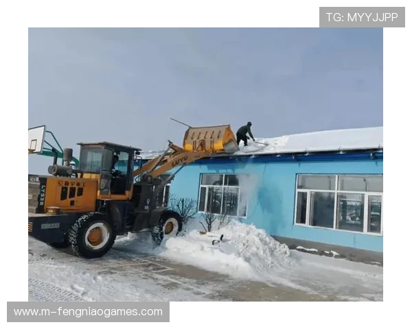 球场屋顶积雪清除，坠落风险安全评估完成